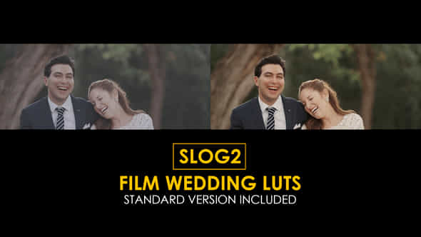 50930746-slog2-film.jpg