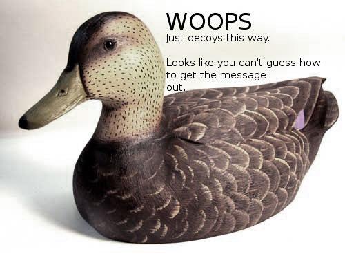 duck.jpg