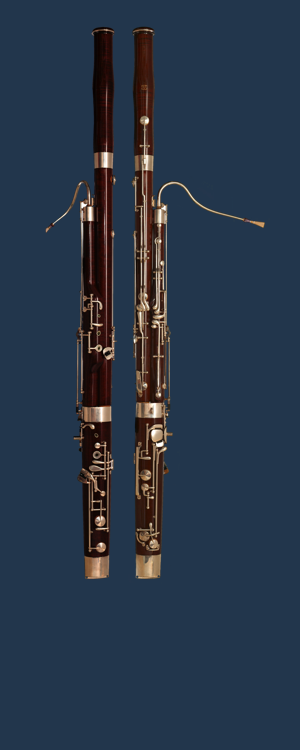 bsbg.png