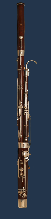 bssbg.png