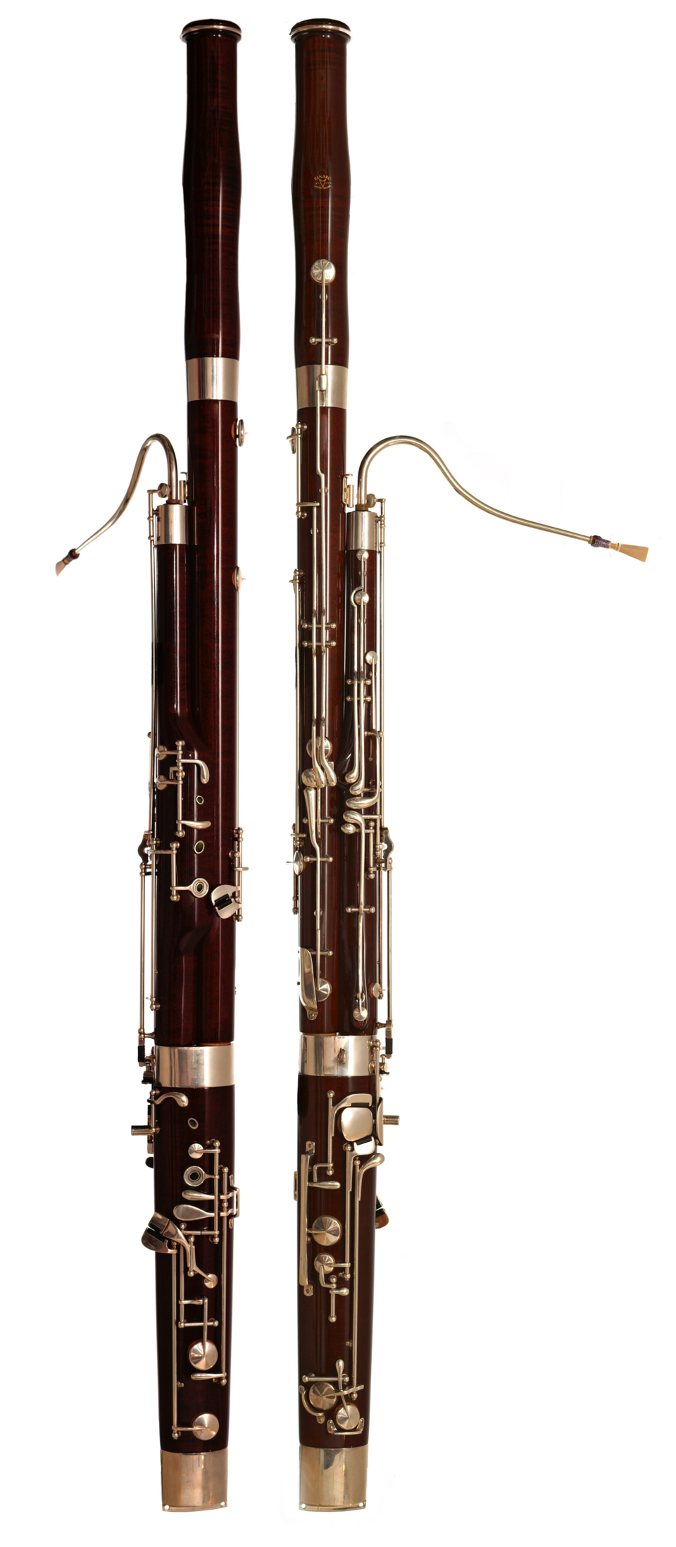 FoxBassoon.png