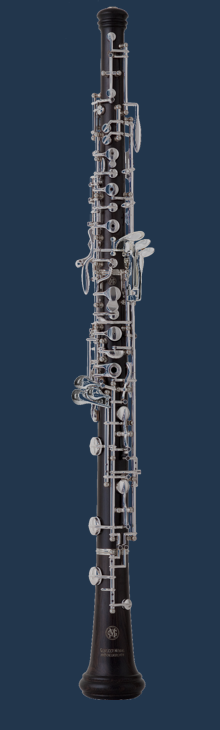 obnbg.png