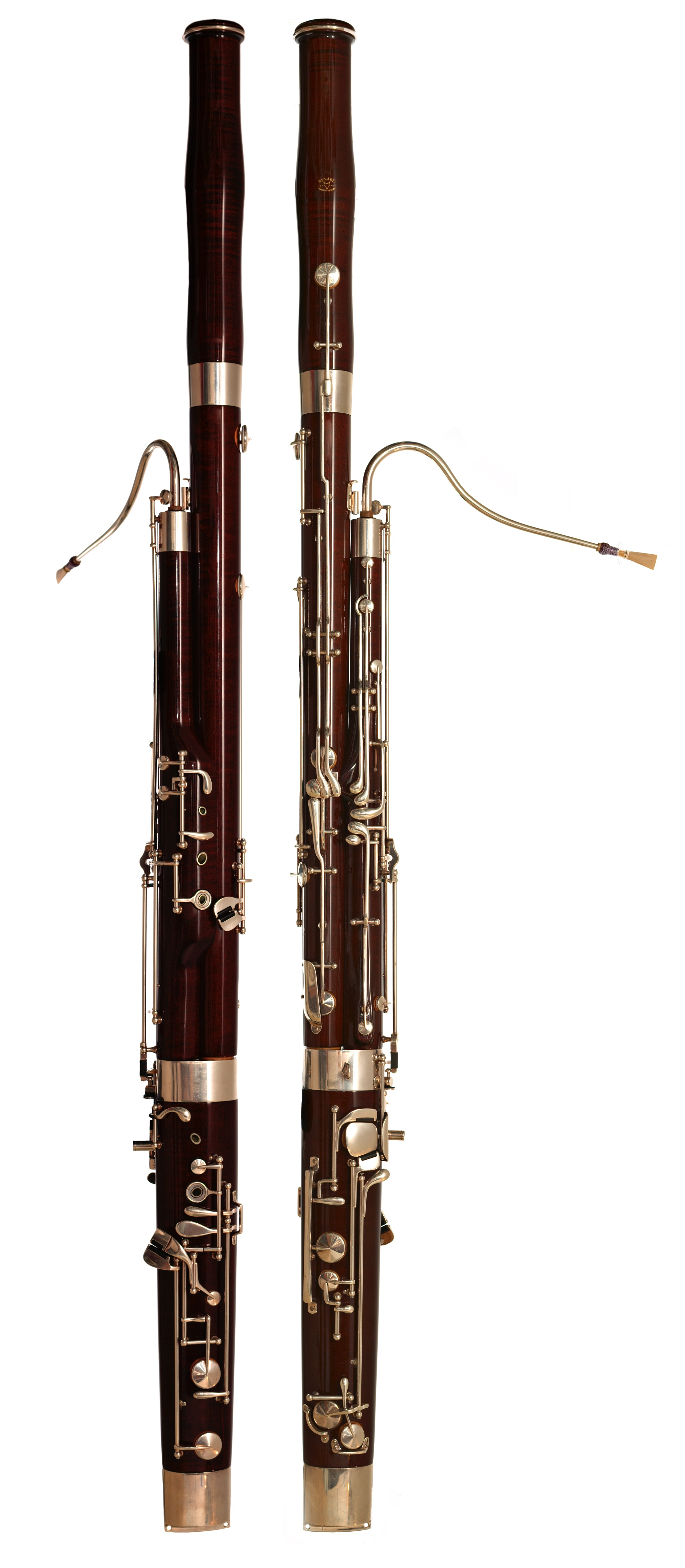 png-FoxBassoon.png.png