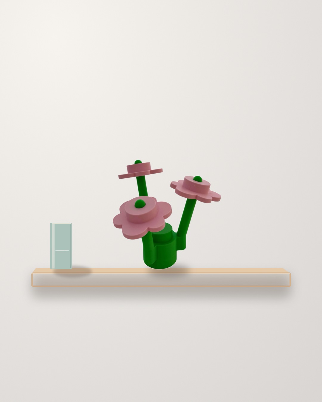 manual-shelf.jpg