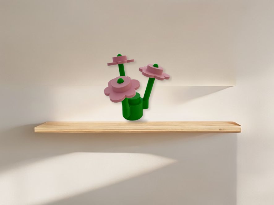 cm_shelf2_12.jpg