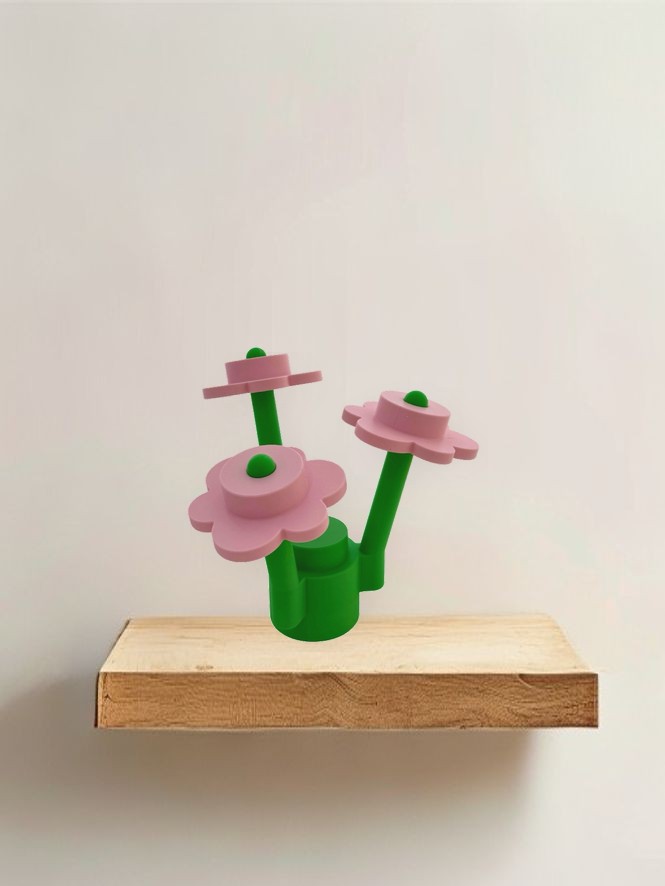 compshelf.jpg