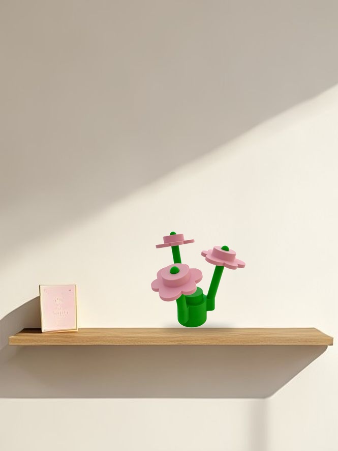 cshelf33a.jpg