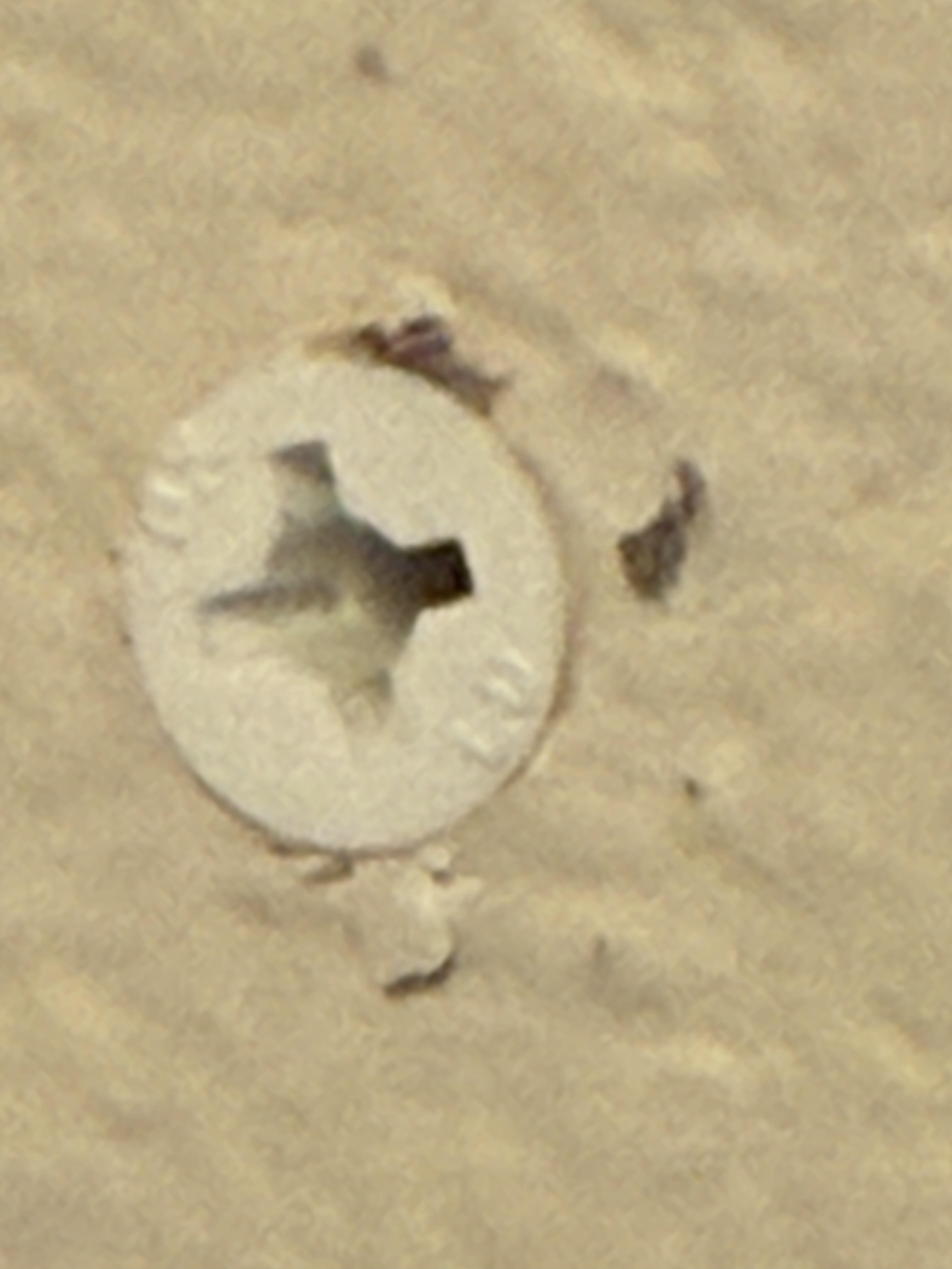 file.jpg