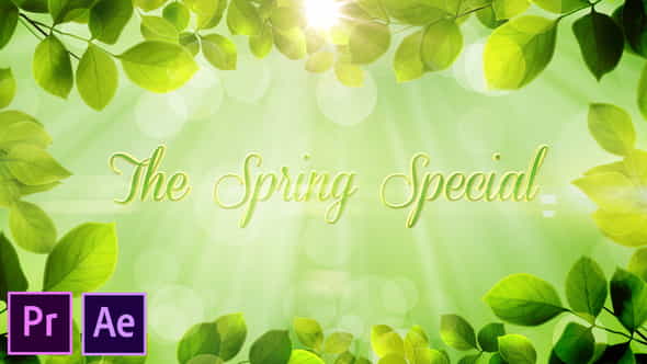 26322422-the-spring.jpg