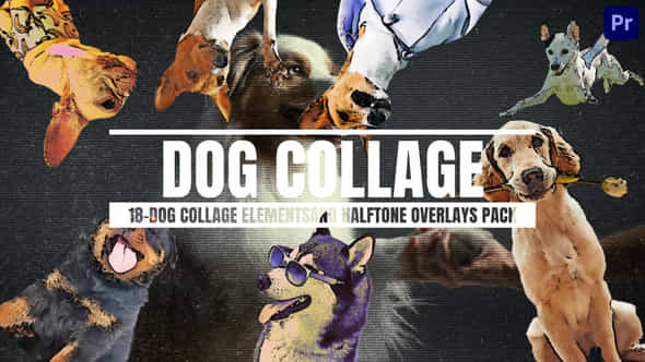 56640918-18dog-collage.jpg