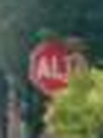 stop1.png