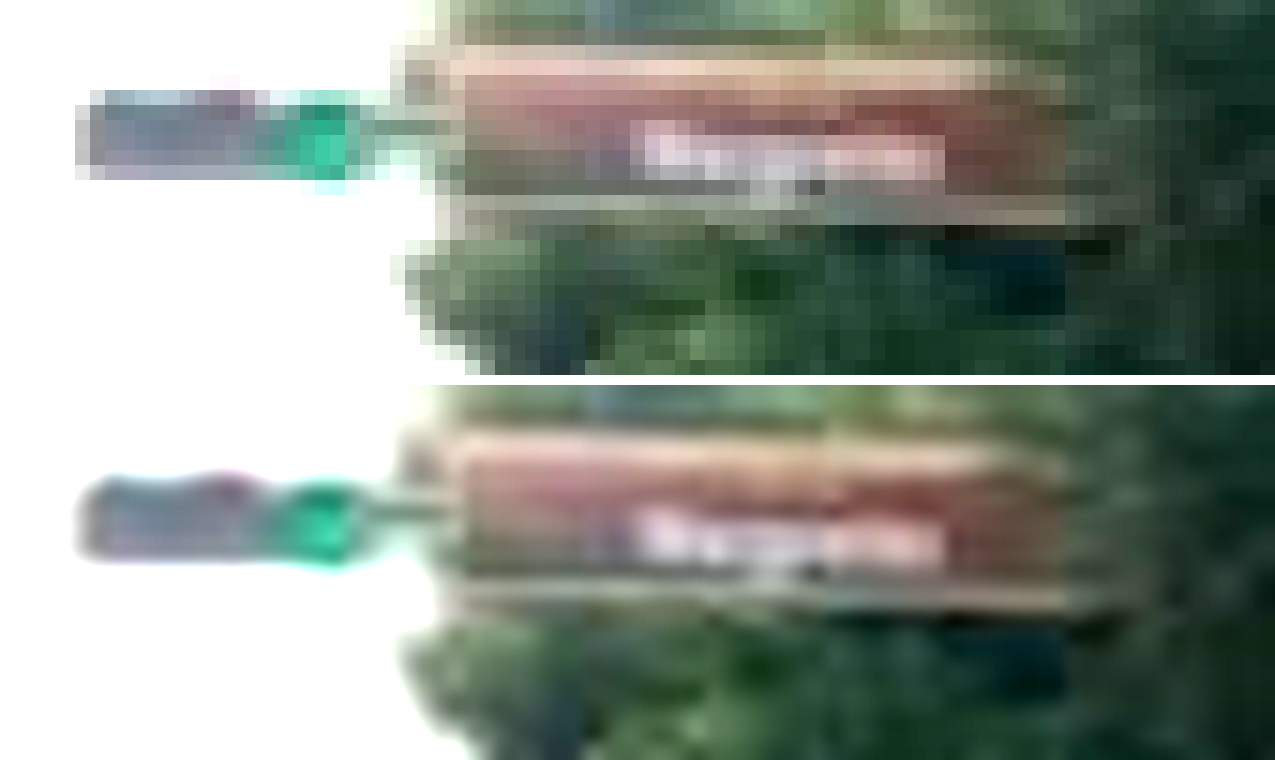 sign_exact_grid.png