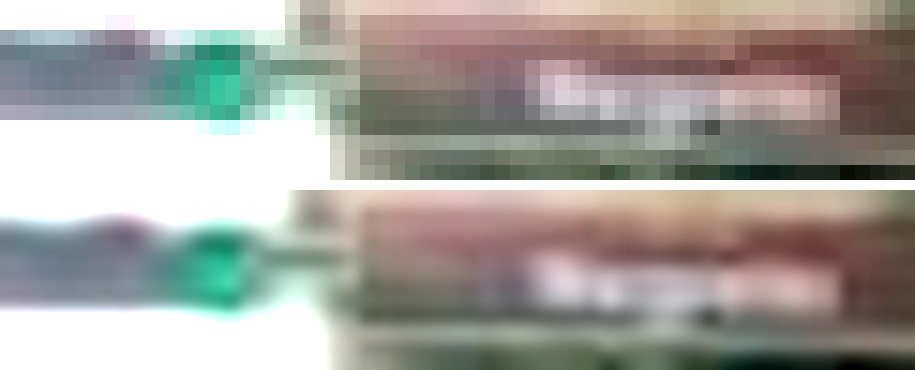 sign_only_guess_grid.png