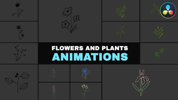 57892984-flowers-plants.jpg