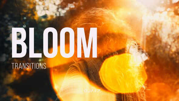 60506513-bloom-transitions.jpg