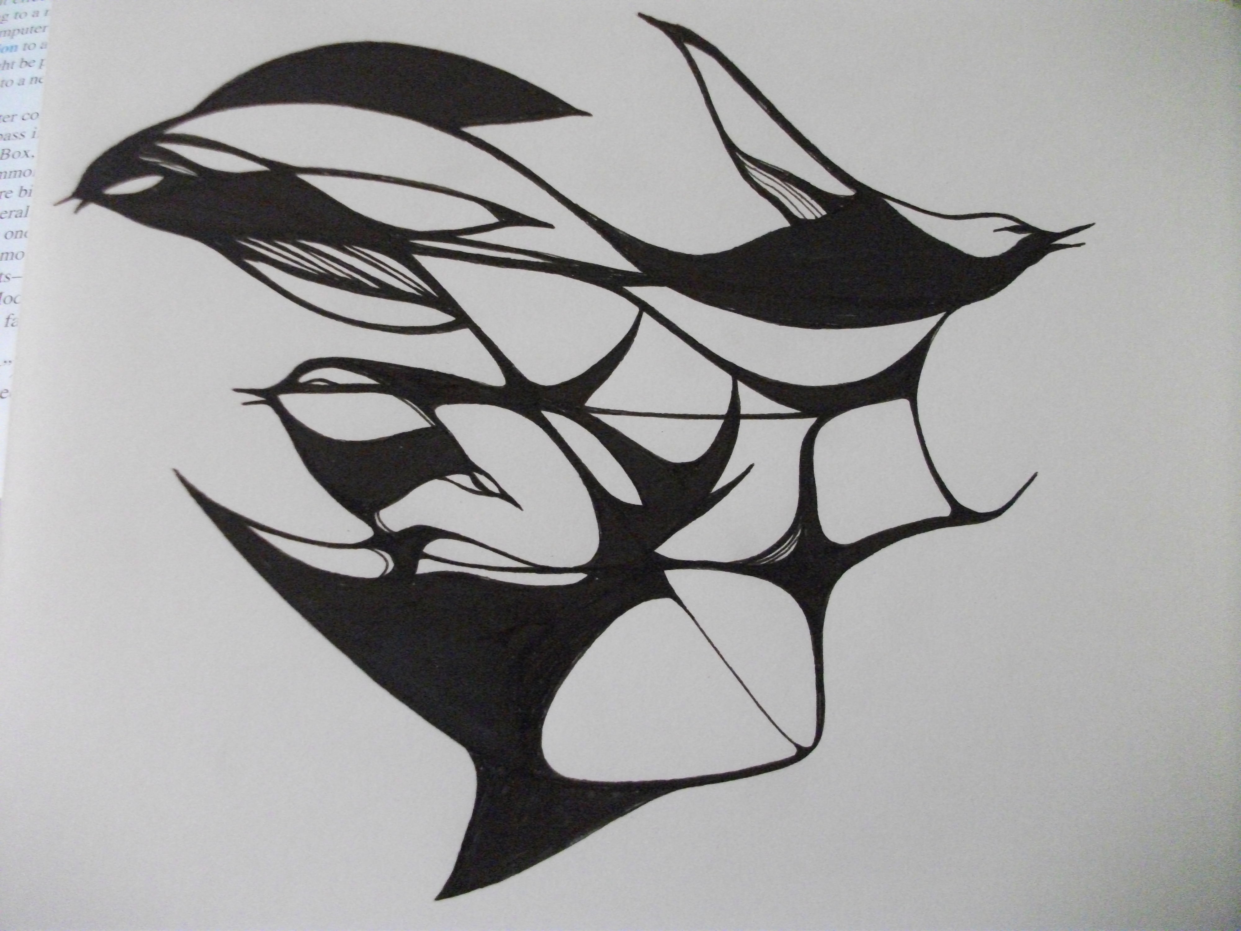 birds