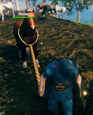 lassodesging.png