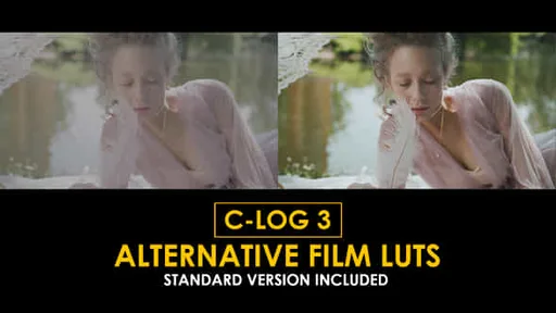 50930773-clog3-alternative.jpg