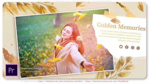 43948822-golden-memories.jpg