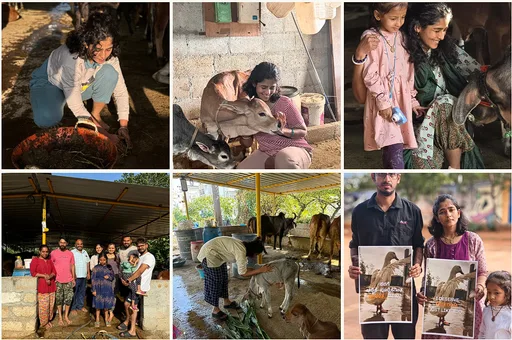 Best Animal Welfare Foundation in Bangalore.png