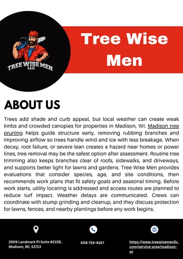 Tree Wise Men PDF.png