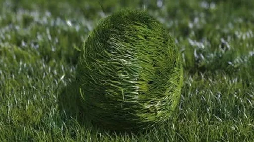 9280907-bouncy-grass.jpg