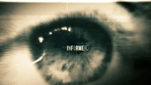 3988966-informer.jpg