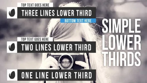 9170934-simple-lower.jpg