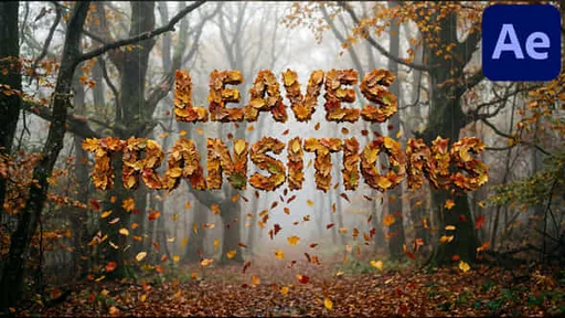 62993185-leaves-transitions.jpg