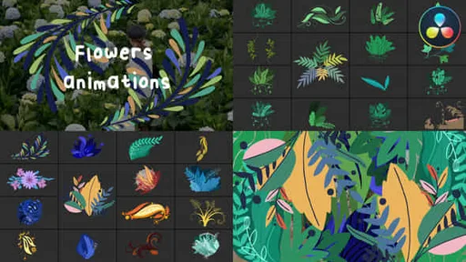 45882830-flowers-animations.jpg