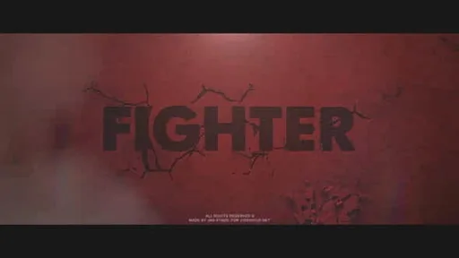 22379818-fighter.jpg