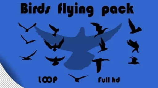2127868-birds-flying.jpg