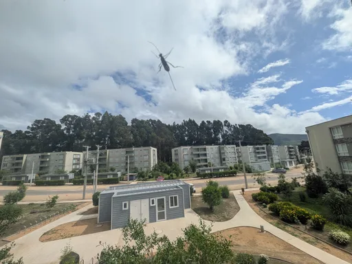 84606.jpg