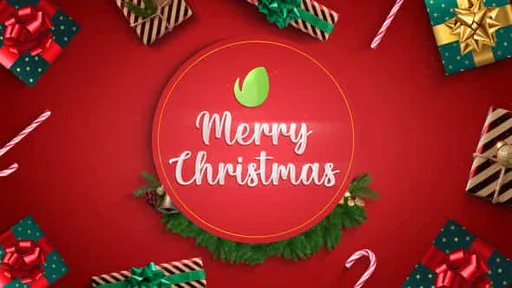 29810747-christmas.jpg